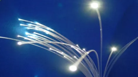 Fibre Watch: Forbearance or for worse