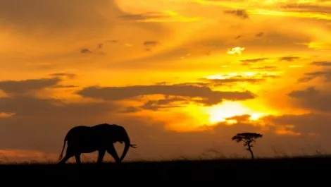 Hadoop hits Azure with MapR; new opportunities for partners